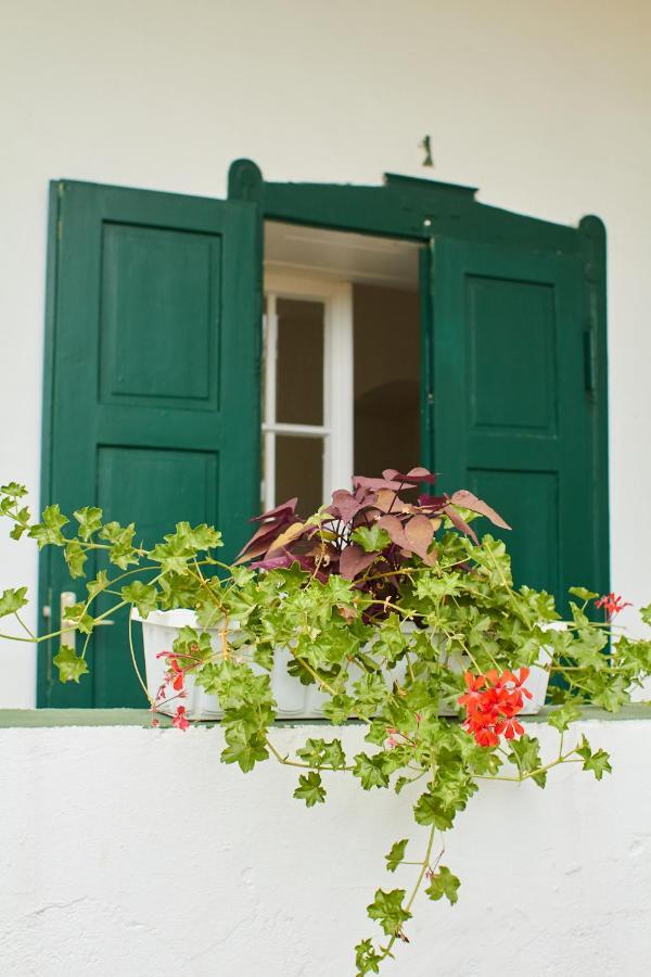 Vadrozsa Vendeghaz Racalmas Guest House Bagian luar foto