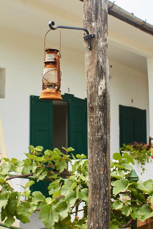 Vadrozsa Vendeghaz Racalmas Guest House Bagian luar foto
