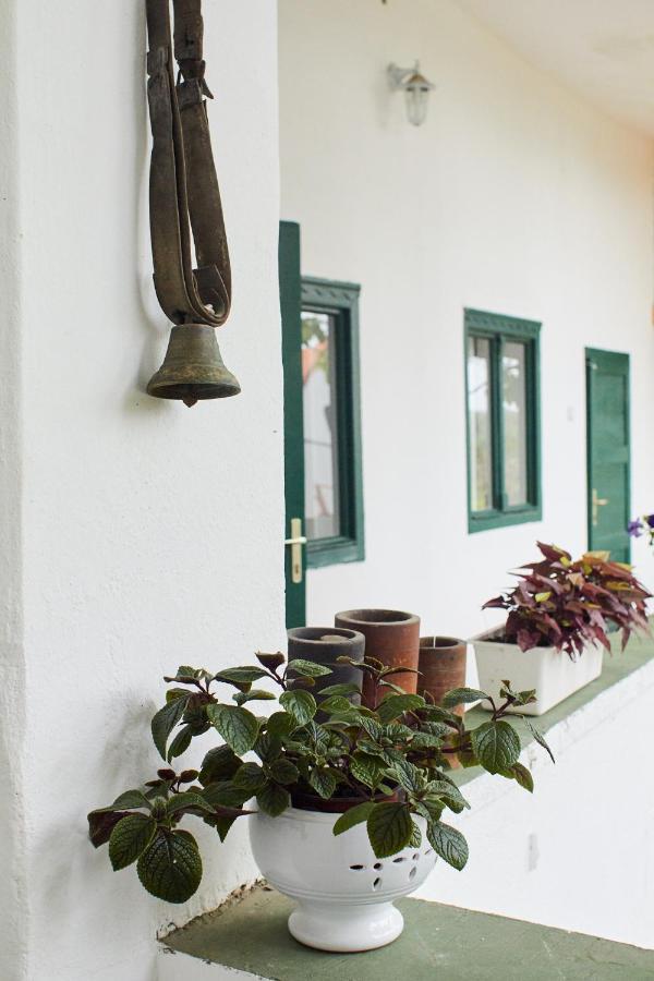 Vadrozsa Vendeghaz Racalmas Guest House Bagian luar foto